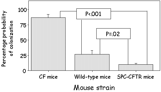 Summary of Results from Seven
  CF Mouse Colonization Studies.