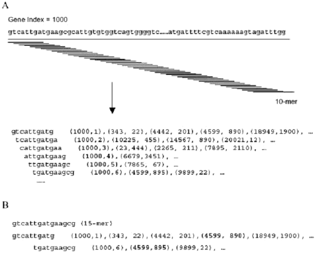 To quickly search for a stretch of
  15 perfectly matched bases, OligoPicker constructs a hash table data
  structure containing all possible 10mers within the data set (A).  The hash
  key is a 10mer sequence and the hash value is a string representation of the
  relative sequence indicies and positions where this particular 10mer is
  found.  Repetitive 15mers are then identified by using two overlapping
  10mers in the hash key as shown in (B).