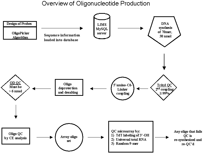 Quality control scheme of probe
  synthesis and microarray fabrication.