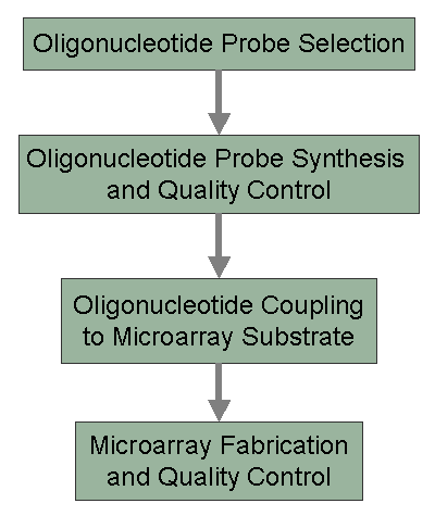 Microarray overview